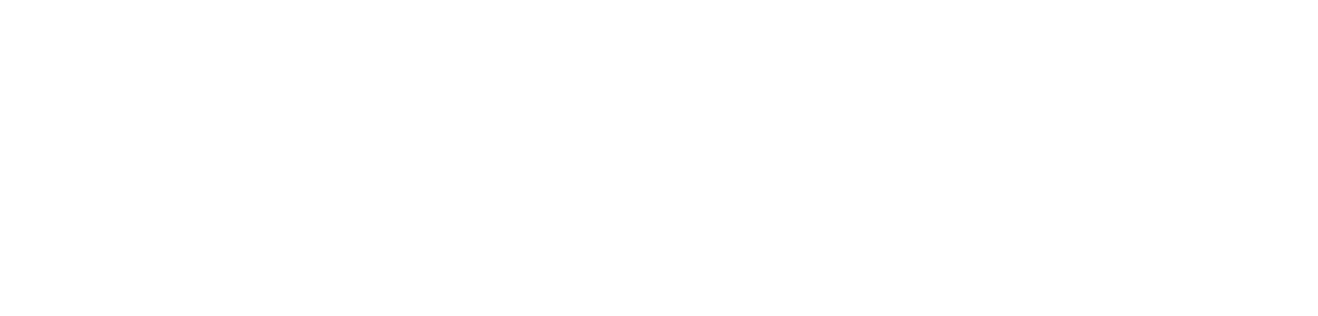 Windows platform icon